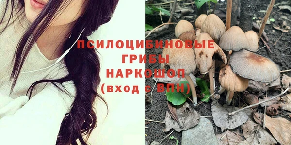 соль курить ск Медвежьегорск