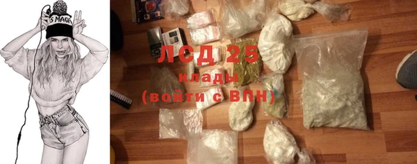 крисы Мегион