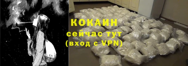 крисы Мегион