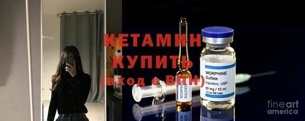 крисы Мегион