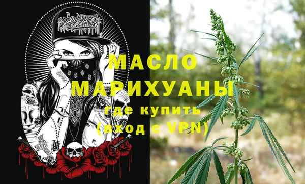 крисы Мегион