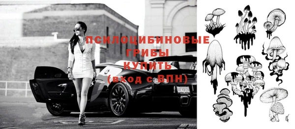 гидропоника Магадан