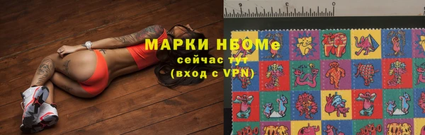 шишки Майский
