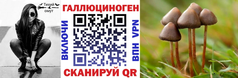 Псилоцибиновые грибы Psilocybine cubensis закладки Нестеров